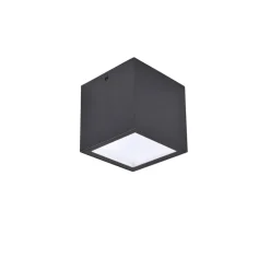 Plafonnier Exterieur Lutec Gemini Led Anthracite, 1 Lumiere