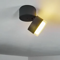 Plafonnier Exterieur Papagayos Led Anthracite, Blanc, 1 Lumiere, Changeur De Couleurs