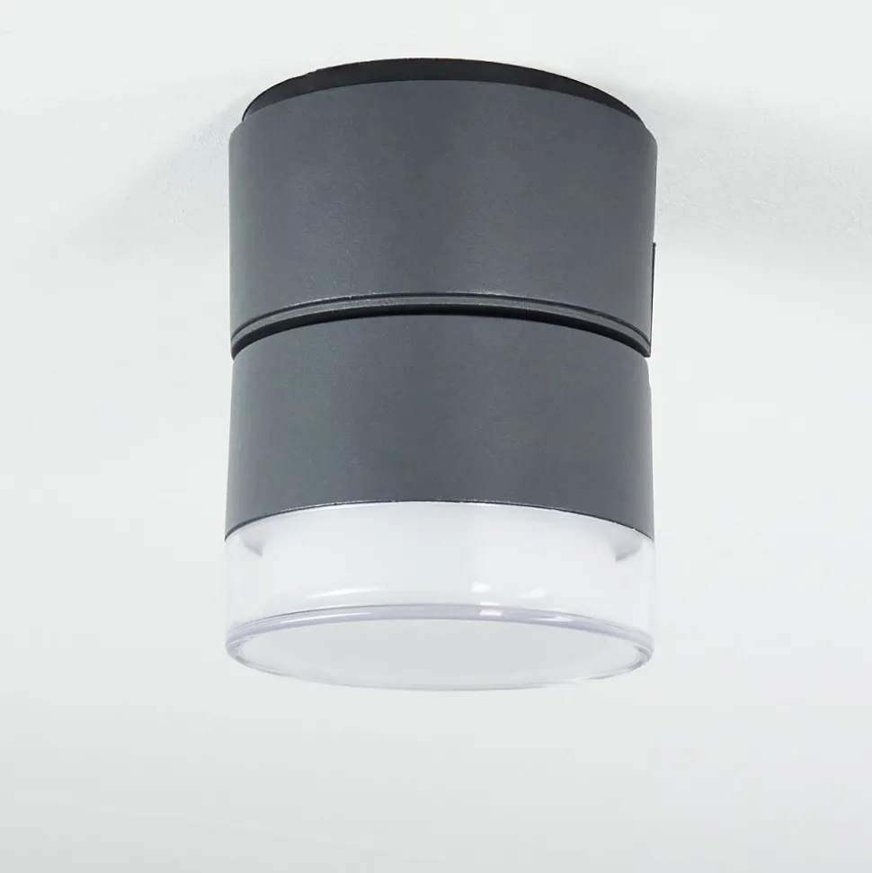 Plafonnier Exterieur Papagayos Led Anthracite, Blanc, 1 Lumiere, Changeur De Couleurs
