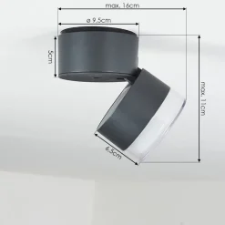 Plafonnier Exterieur Papagayos Led Anthracite, Blanc, 1 Lumiere, Changeur De Couleurs