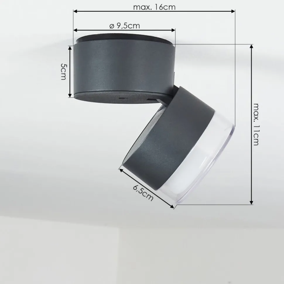 Plafonnier Exterieur Papagayos Led Anthracite, Blanc, 1 Lumiere, Changeur De Couleurs