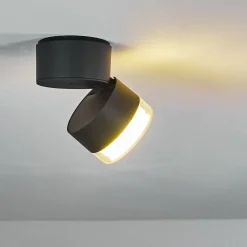 Plafonnier Exterieur Papagayos Led Anthracite, Blanc, 1 Lumiere, Changeur De Couleurs