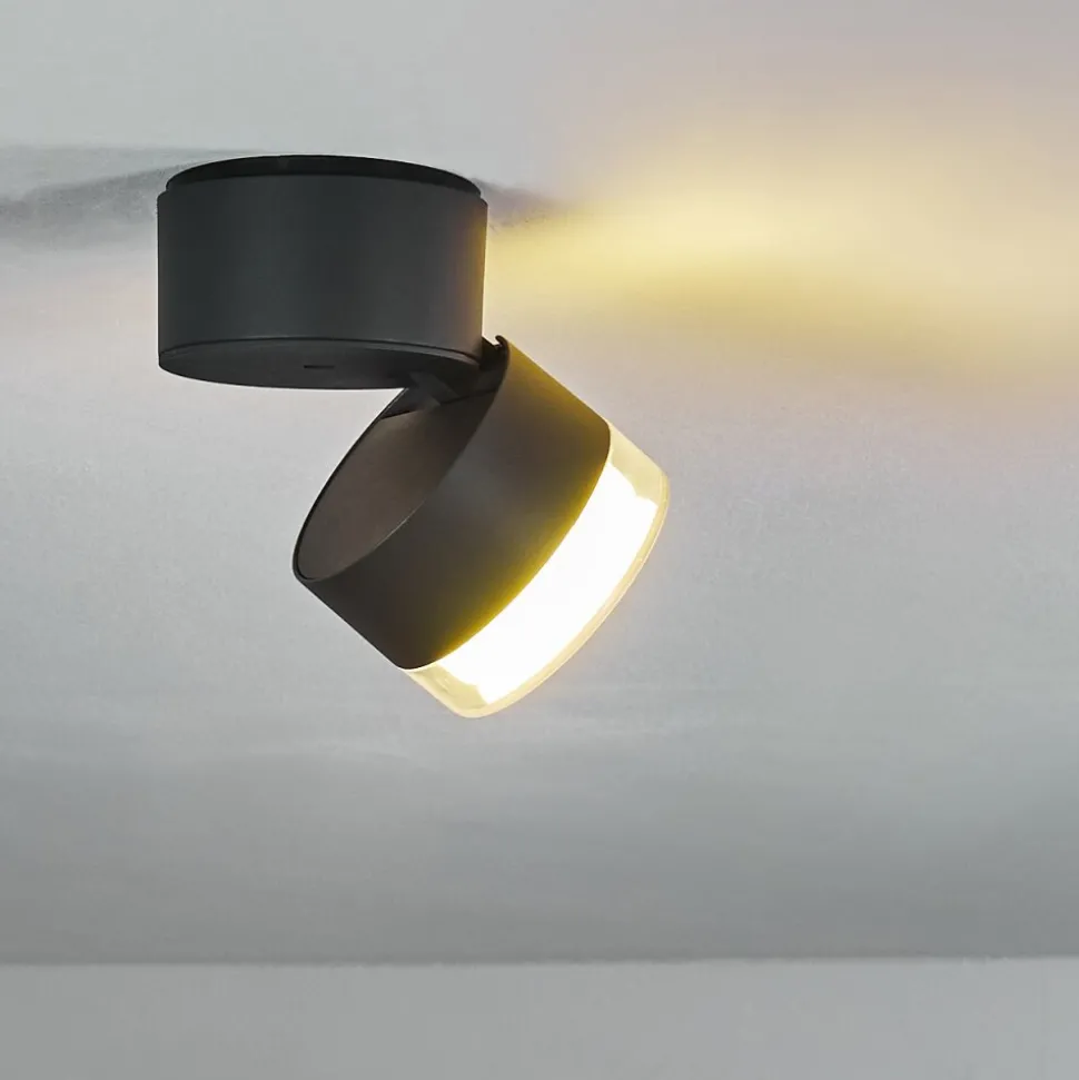 Plafonnier Exterieur Papagayos Led Anthracite, Blanc, 1 Lumiere, Changeur De Couleurs
