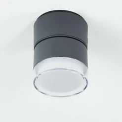 Plafonnier Exterieur Papagayos Led Anthracite, Blanc, 1 Lumiere, Changeur De Couleurs
