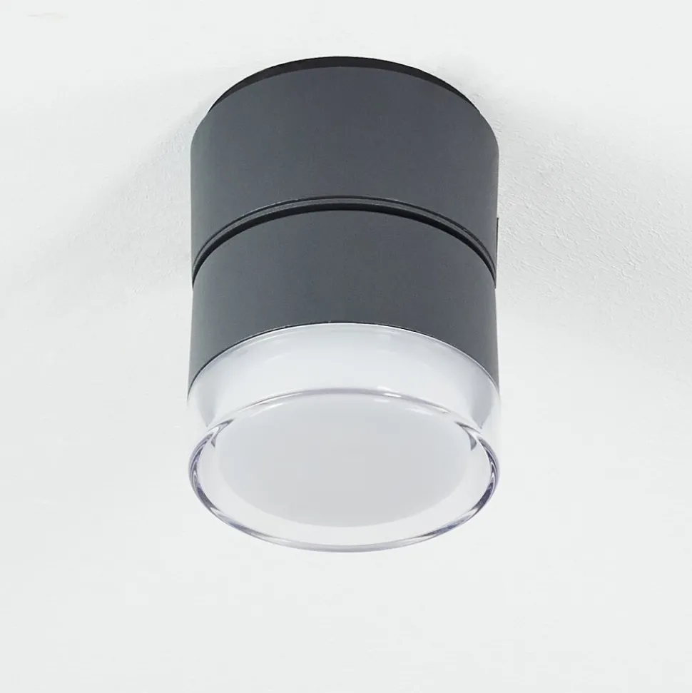 Plafonnier Exterieur Papagayos Led Anthracite, Blanc, 1 Lumiere, Changeur De Couleurs