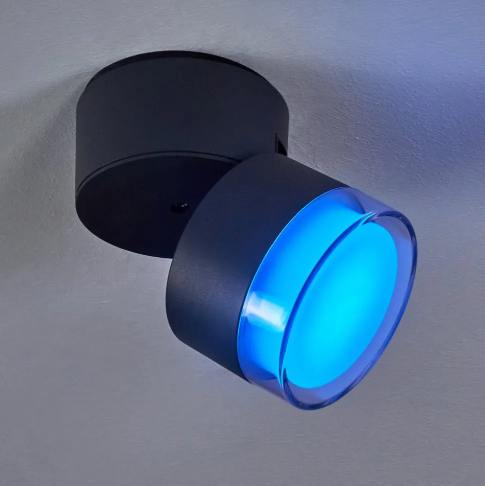Plafonnier Exterieur Papagayos Led Anthracite, Blanc, 1 Lumiere, Changeur De Couleurs