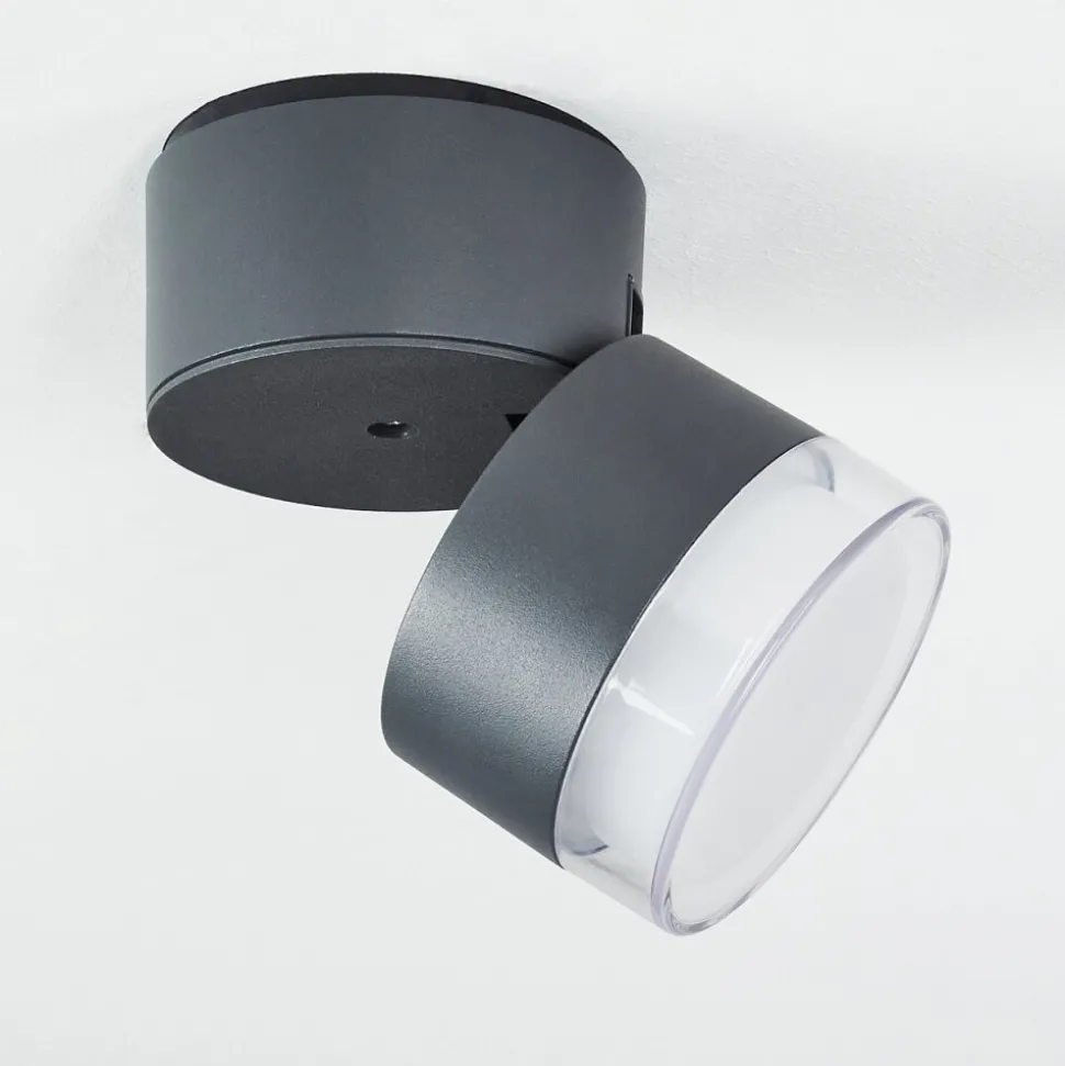 Plafonnier Exterieur Papagayos Led Anthracite, Blanc, 1 Lumiere, Changeur De Couleurs