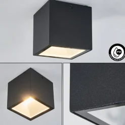 Plafonnier Exterieur Spidern Led Blanc, 1 Lumiere