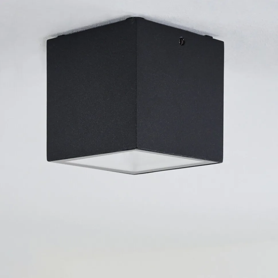 Plafonnier Exterieur Spidern Led Blanc, 1 Lumiere