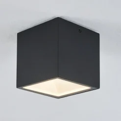 Plafonnier Exterieur Spidern Led Blanc, 1 Lumiere