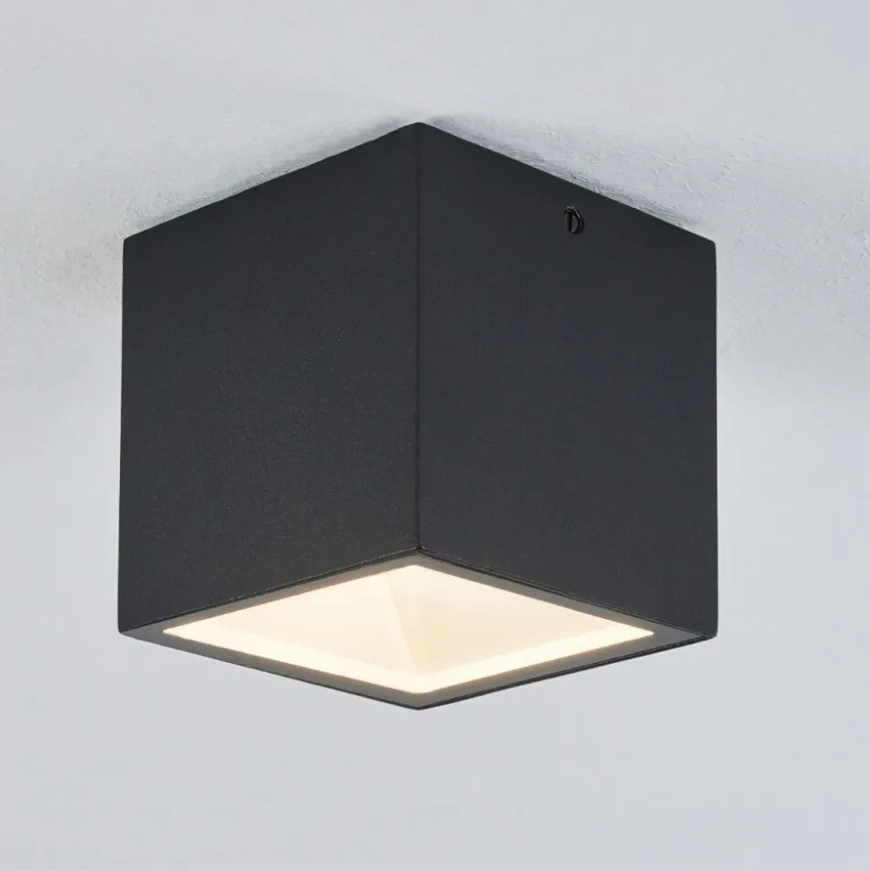Plafonnier Exterieur Spidern Led Blanc, 1 Lumiere