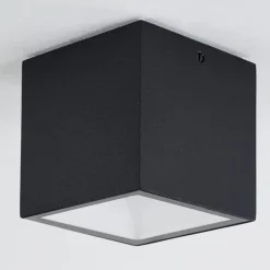 Plafonnier Exterieur Spidern Led Blanc, 1 Lumiere