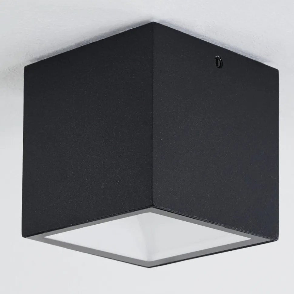 Plafonnier Exterieur Spidern Led Blanc, 1 Lumiere