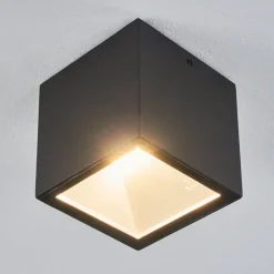 Plafonnier Exterieur Spidern Led Blanc, 1 Lumiere