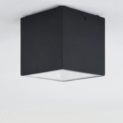 Plafonnier Exterieur Spidern Led Blanc, 1 Lumiere