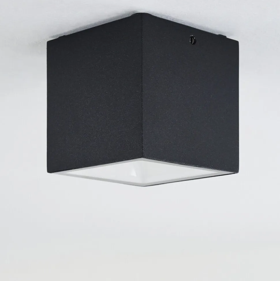 Plafonnier Exterieur Spidern Led Blanc, 1 Lumiere