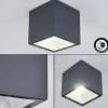 Plafonnier Exterieur Spidern Led Anthracite, Blanc, 1 Lumiere