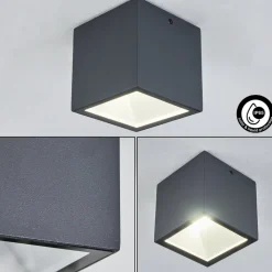 Plafonnier Exterieur Spidern Led Anthracite, Blanc, 1 Lumiere