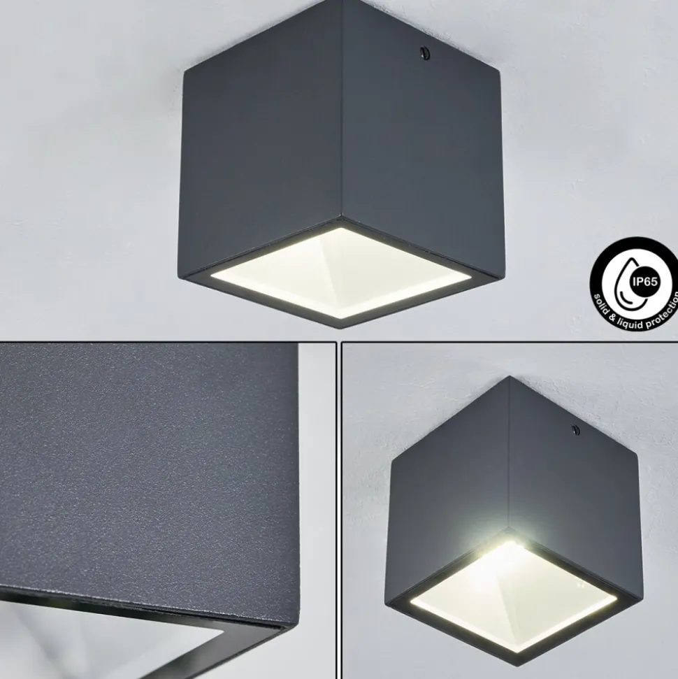 Plafonnier Exterieur Spidern Led Anthracite, Blanc, 1 Lumiere