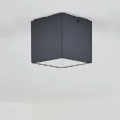 Plafonnier Exterieur Spidern Led Anthracite, Blanc, 1 Lumiere