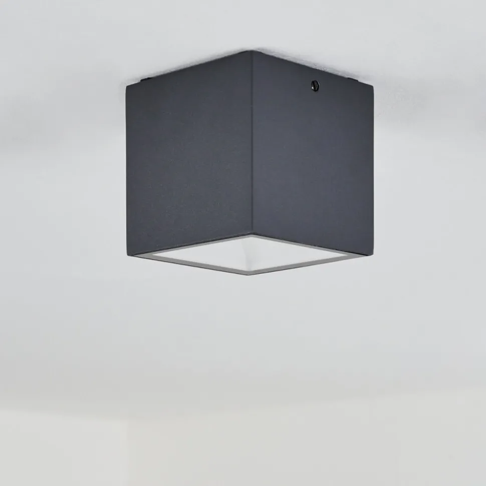 Plafonnier Exterieur Spidern Led Anthracite, Blanc, 1 Lumiere