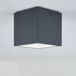Plafonnier Exterieur Spidern Led Anthracite, Blanc, 1 Lumiere