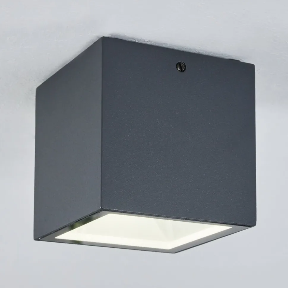 Plafonnier Exterieur Spidern Led Anthracite, Blanc, 1 Lumiere