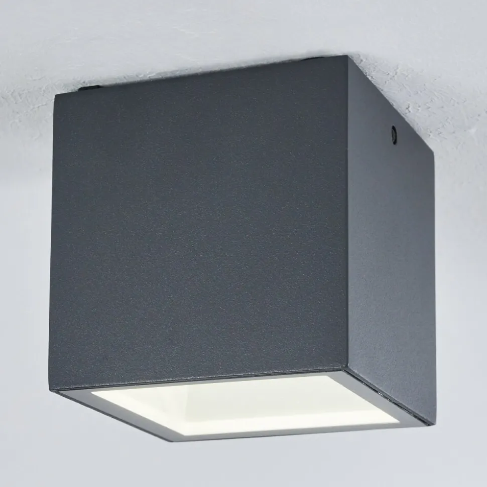 Plafonnier Exterieur Spidern Led Anthracite, Blanc, 1 Lumiere