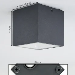 Plafonnier Exterieur Spidern Led Anthracite, Blanc, 1 Lumiere