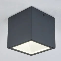 Plafonnier Exterieur Spidern Led Anthracite, Blanc, 1 Lumiere
