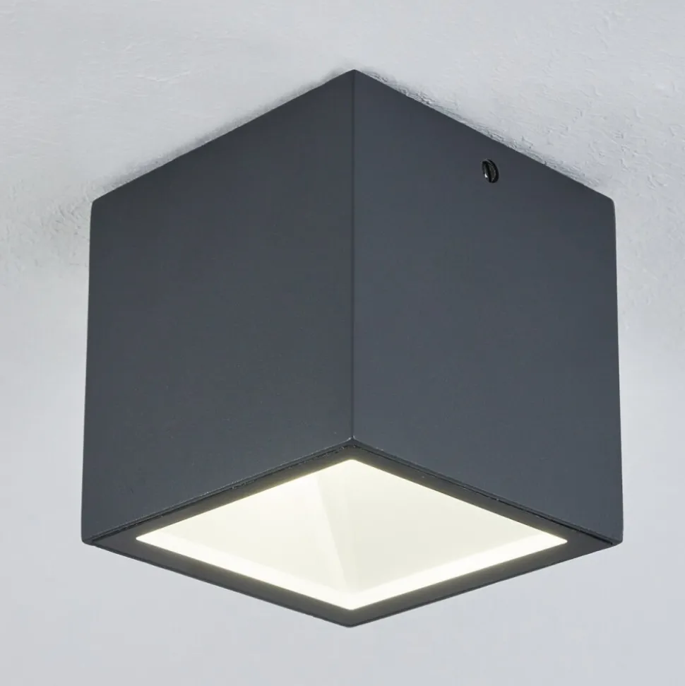 Plafonnier Exterieur Spidern Led Anthracite, Blanc, 1 Lumiere