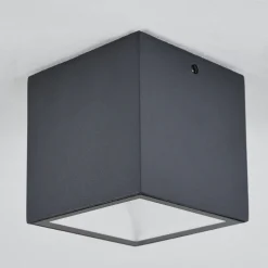Plafonnier Exterieur Spidern Led Anthracite, Blanc, 1 Lumiere