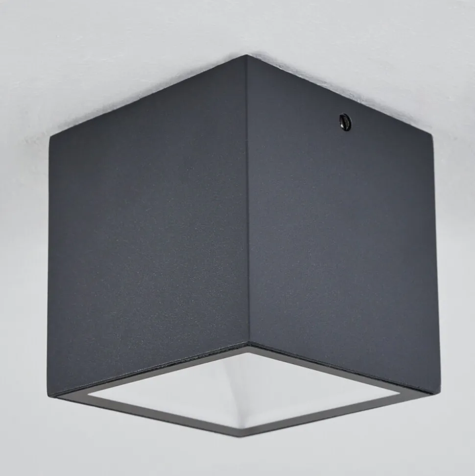 Plafonnier Exterieur Spidern Led Anthracite, Blanc, 1 Lumiere