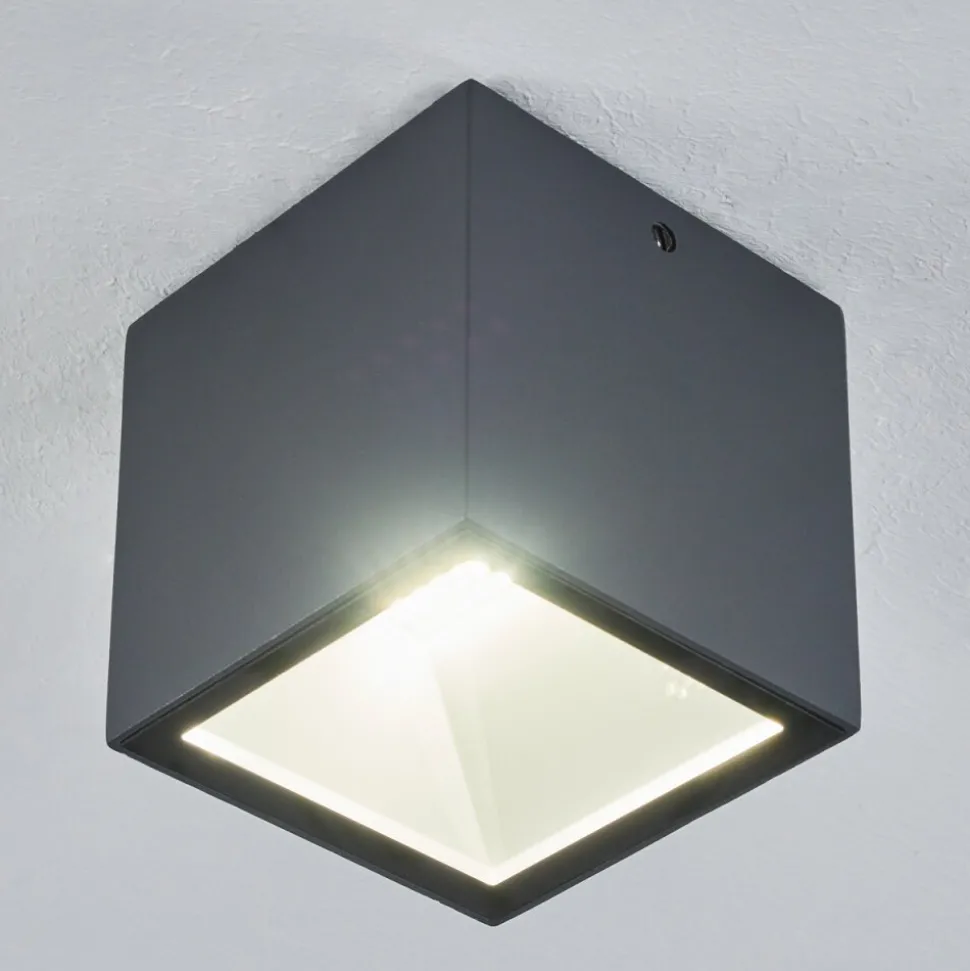 Plafonnier Exterieur Spidern Led Anthracite, Blanc, 1 Lumiere