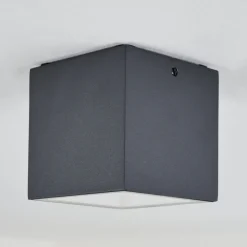 Plafonnier Exterieur Spidern Led Anthracite, Blanc, 1 Lumiere