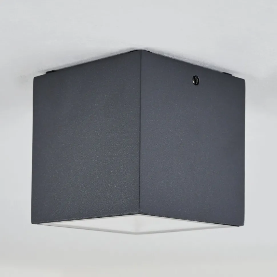 Plafonnier Exterieur Spidern Led Anthracite, Blanc, 1 Lumiere