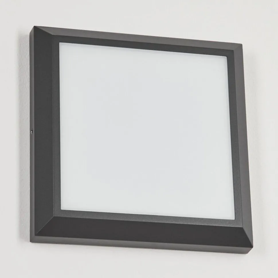 Plafonnier Exterieuralkmaar Led Anthracite, 1 Lumiere