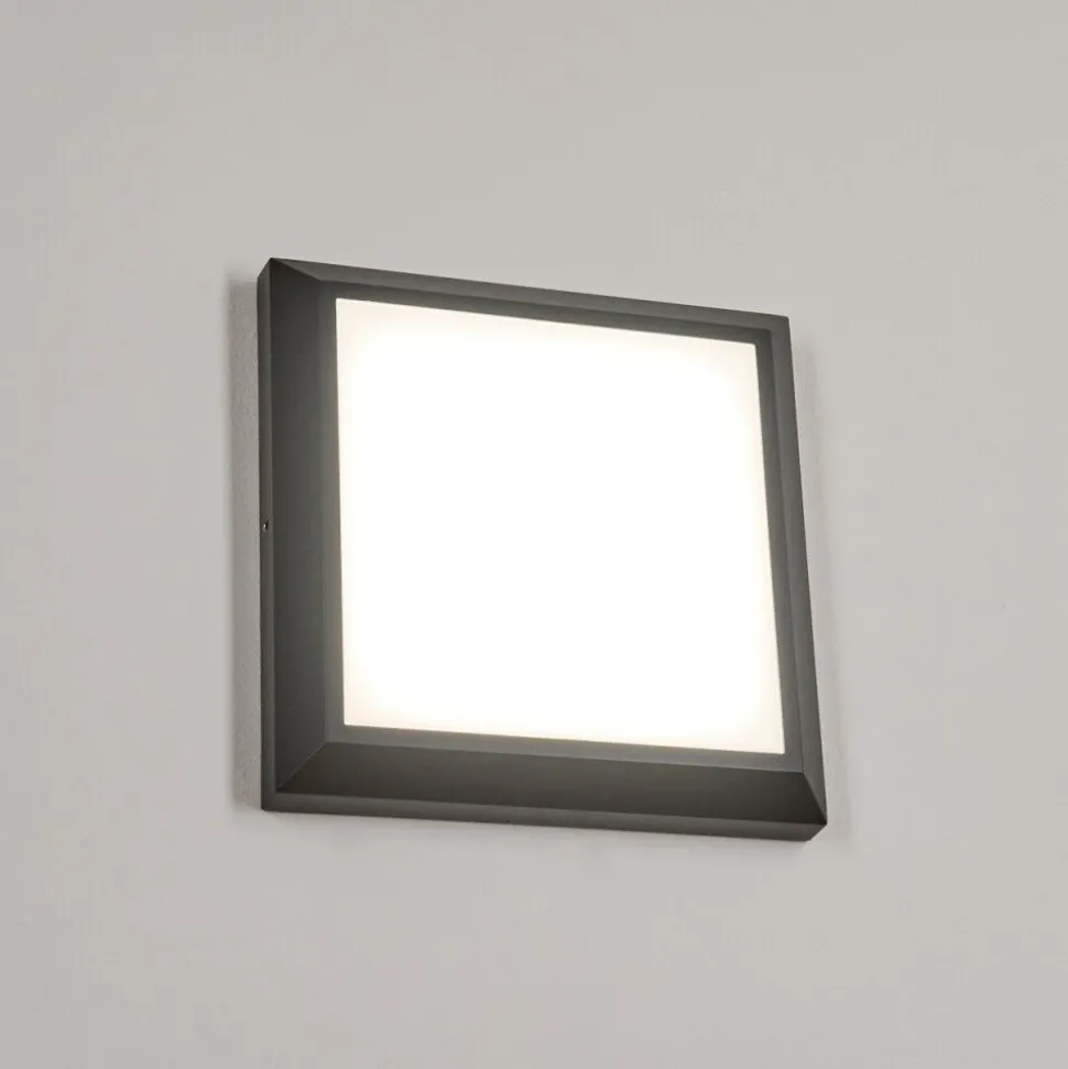 Plafonnier Exterieuralkmaar Led Anthracite, 1 Lumiere