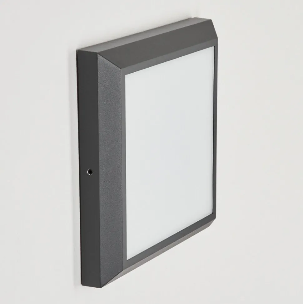 Plafonnier Exterieuralkmaar Led Anthracite, 1 Lumiere