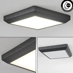 Plafonnier Exterieuralkmaar Led Anthracite, 1 Lumiere