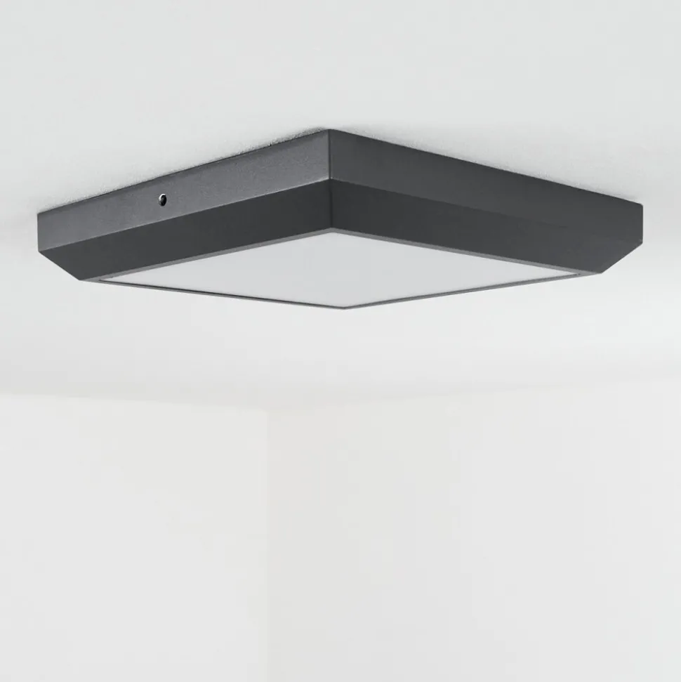 Plafonnier Exterieuralkmaar Led Anthracite, 1 Lumiere