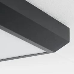 Plafonnier Exterieuralkmaar Led Anthracite, 1 Lumiere
