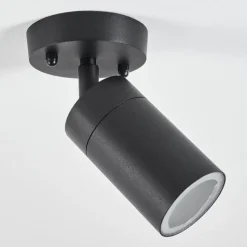 Plafonnier Exterieurbessiebelle Noir, Blanc, 1 Lumiere