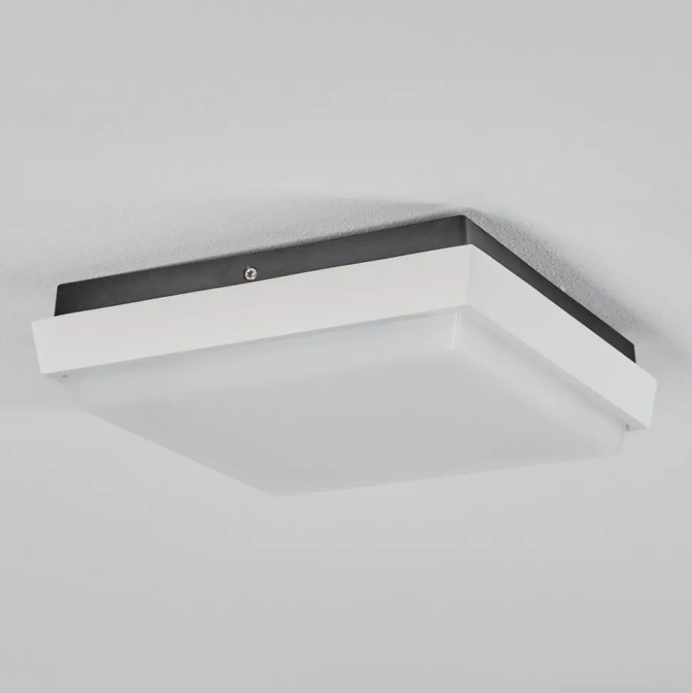 Plafonnier Exterieurgomero Led Anthracite, Blanc, 1 Lumiere