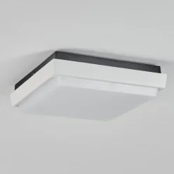 Plafonnier Exterieurgomero Led Anthracite, Blanc, 1 Lumiere