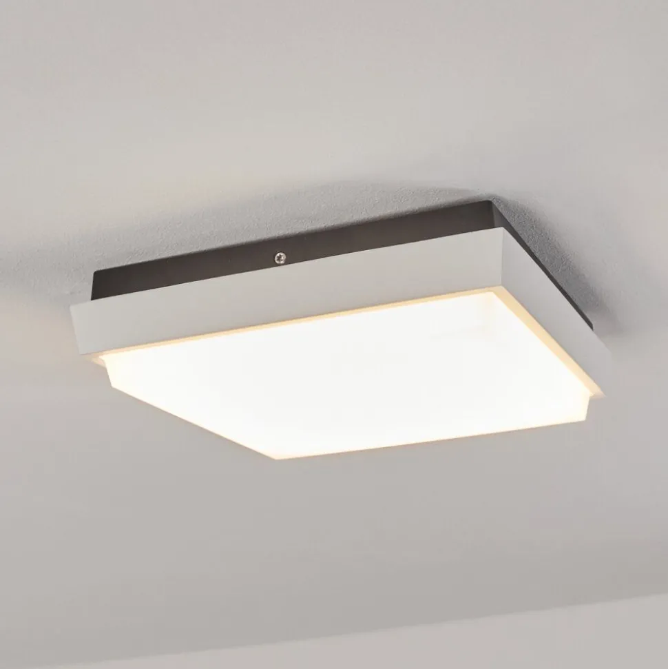 Plafonnier Exterieurgomero Led Anthracite, Blanc, 1 Lumiere