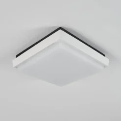 Plafonnier Exterieurgomero Led Anthracite, Blanc, 1 Lumiere