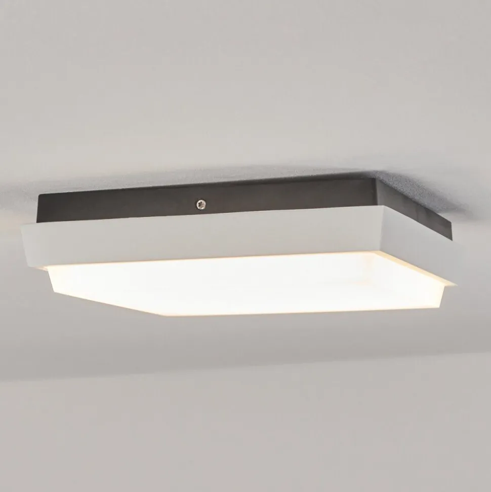 Plafonnier Exterieurgomero Led Anthracite, Blanc, 1 Lumiere