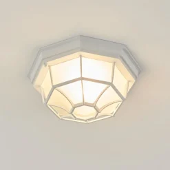 Plafonnier Exterieuribacache Blanc, 1 Lumiere