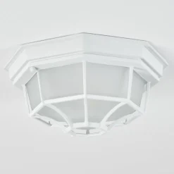 Plafonnier Exterieuribacache Blanc, 1 Lumiere